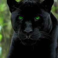 Black Panther.