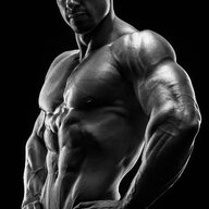 stallion kumar