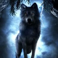 DARK WOLFKING