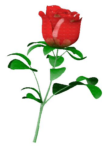 1888139-dd2ef