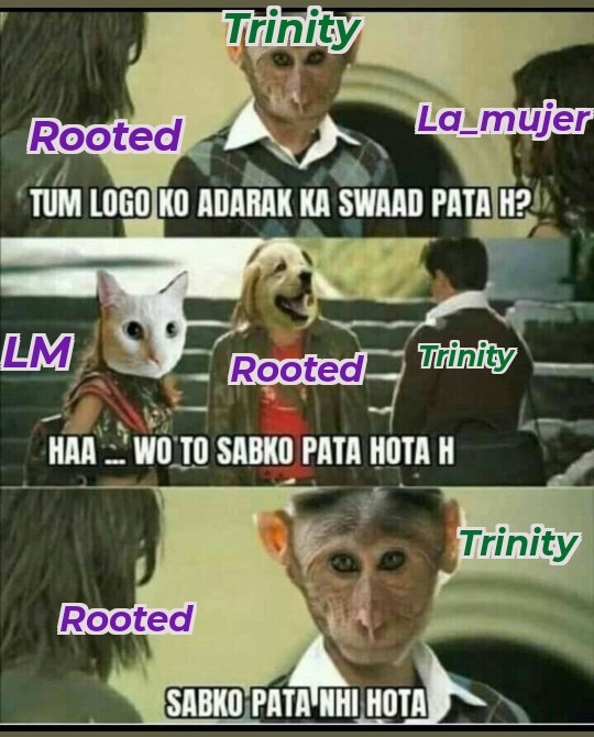 Zombo-Meme-5508