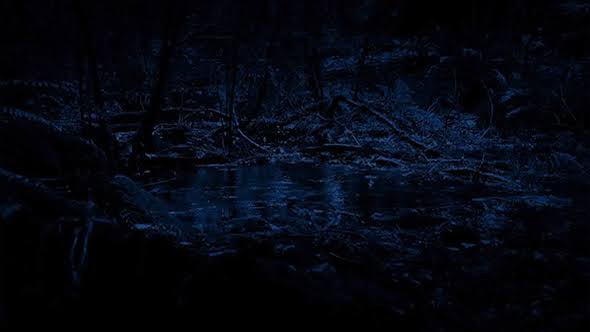 images-1