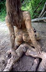MUD-wot-OIP.jpg