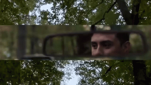 peeking you from the mirror roman alexander