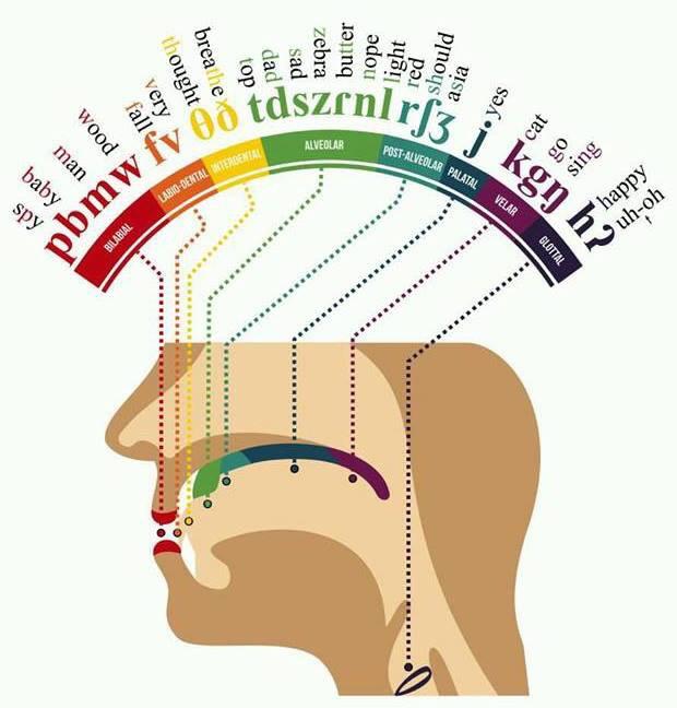 3xz19w1i2us11.jpg