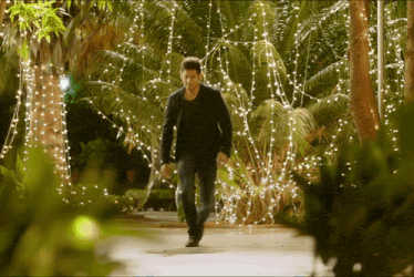 bob-mahesh-babu.gif